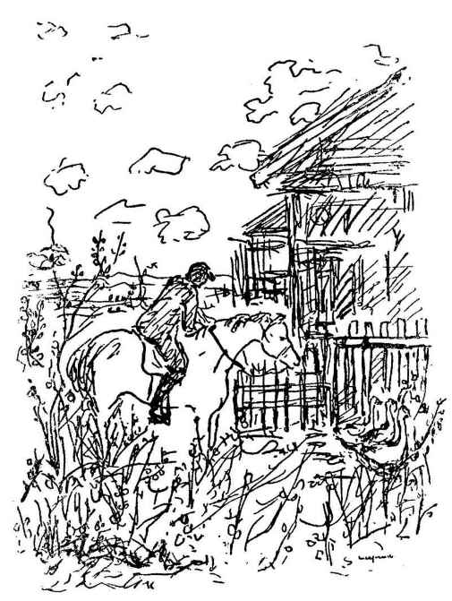 《包法利夫人》插图