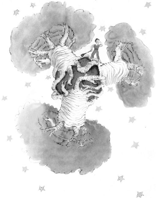 《小王子》插图