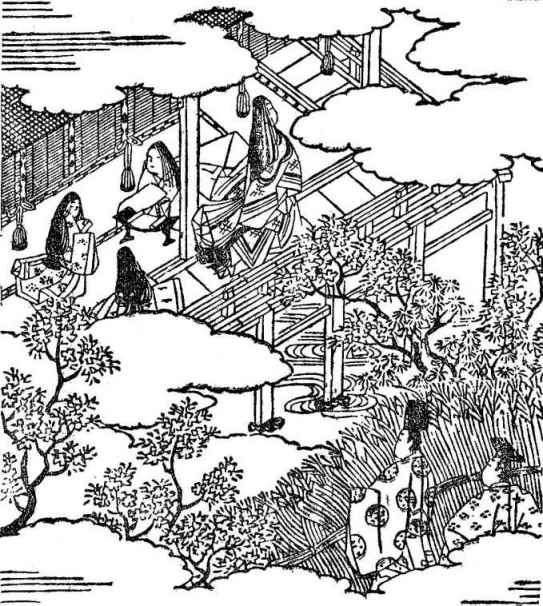 插图