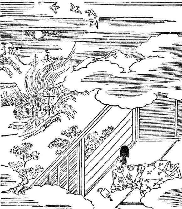 插图